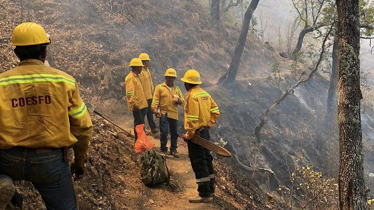 Controlan incendio en Mazaltepec, Oaxaca